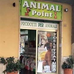Animal Point