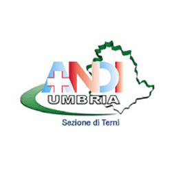 Andi Terni