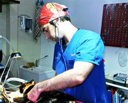 Centro Medico Veterinario Via Istria