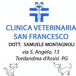 Clinica Veterinaria S. Francesco