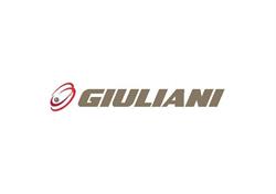 Giuliani a Bucci Automations S.p.a Division