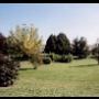 Manutenzione Periodica di Giardini