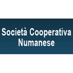 Società Cooperativa Numanese