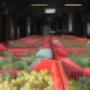 Produzione