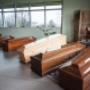 Gallery Professionale