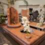 Gallery Professionale