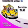Servizio Taxi per Animali