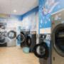 Gallery Professionale