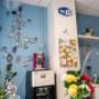 Gallery Professionale