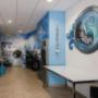 Gallery Professionale