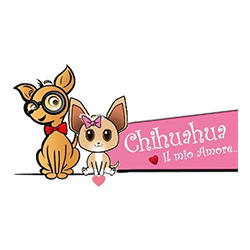 Cuccioli Chihuahua