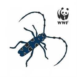 Oasi Wwf Bosco Pantano