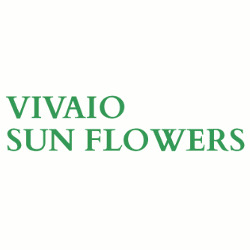 Vivaio Sun Flowers