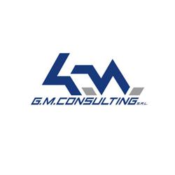 G.M. Consulting