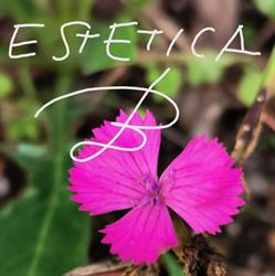 Estetica B
