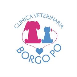 Clinica Veterinaria Borgo Po