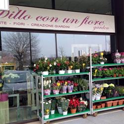 Dillo con Un Fiore Il Fiorista a Gallarate