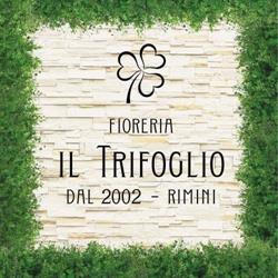 Fioreria Il Trifoglio