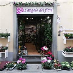L'Angolo dei Fiori