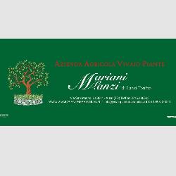 Azienda Agricola Vivaio Piante Mariani-Lanzi