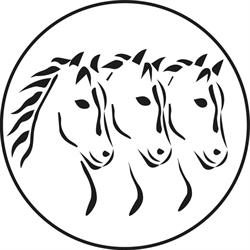 Amici Cavalli