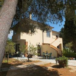 Campi di lavanda di Santa Luce - Ingresso gratuito -Podere Mandriato