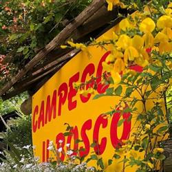 Il Bosco