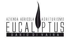 Eucaliptus