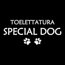 Toelettatura Special Dog di Cico Ventura