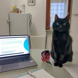 Dott.ssa Michela Sghedoni Veterinario