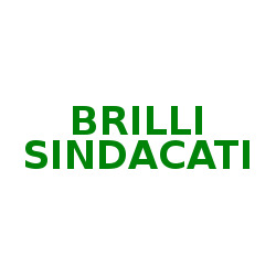 Brilli Sindacati
