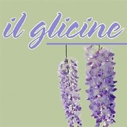 Il Glicine