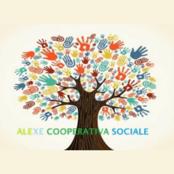 Cooperativa Sociale Alexe
