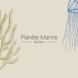 Frutti di Mare Planete Marine da Carlo