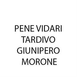 Pene Vidari Tardivo Giunipero Morone