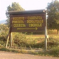 Foresta Didattica Foresta Cerreta Cognole