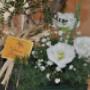 Caricato da visitatore il 08/05/2018 - camera matrimoniale "bellatrase"
