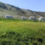 Azienda Agricola Giuliani Societa' Semplice