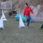 Agility - Scuola Cinofila D'Anima