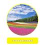 Omotenashi Cura L'Ambiente