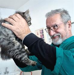 Ambulatorio Veterinario Bellocchio Enrico