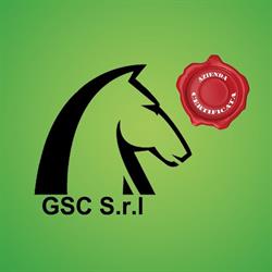 Gsc Servizi