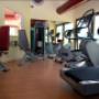 Palestra