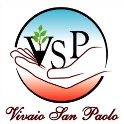 Vivaio San Paolo di Spezzano Pina Carmela