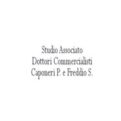 Studio Associato Dottori Commercialisti Caponeri P. e Freddio S.
