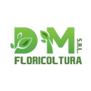 Dm Srl Floricoltura