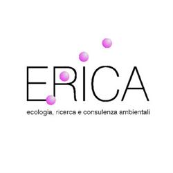 Erica