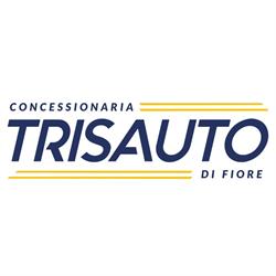 Concessionaria Tris Auto