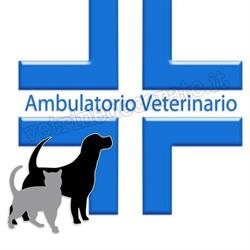 Ambulatorio Veterinario Dott.ssa Carla Villan