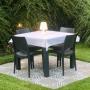 Gallery Cliente
